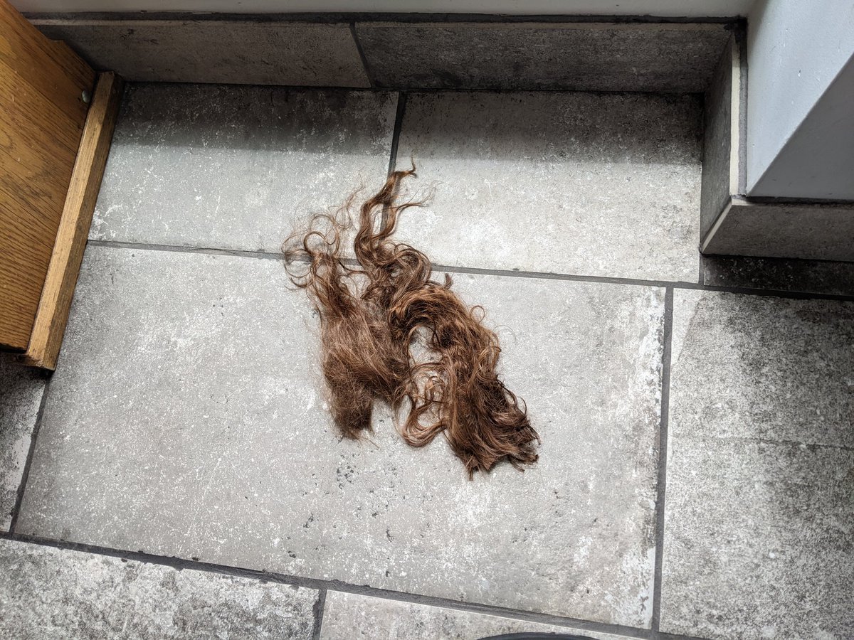Shaggyshan's tweet photo. It had been 3 years since I last got a hair cut, so earlier this month on my birthday, I said goodbye to all of this. (nice to know a good chunk was salvageable for donating too). https://t.co/B83X6S2Zoa