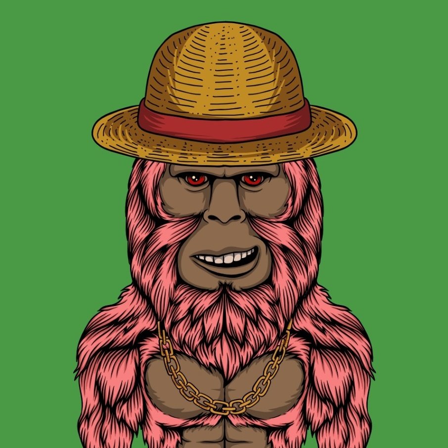 MrSilly_eth's tweet photo. @JackLinks @SquatchLegends we entering as a community?? 

#GoneSquatchin https://t.co/cZdPswWRGP