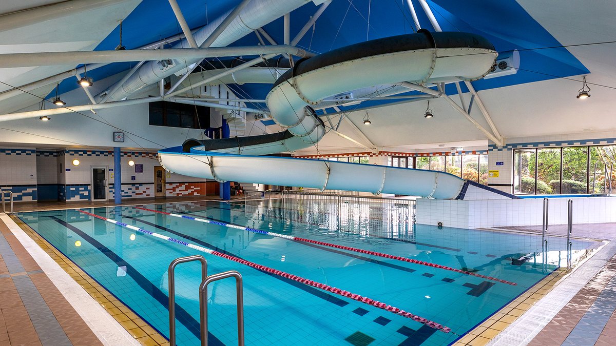 @poloconghaile tweet media