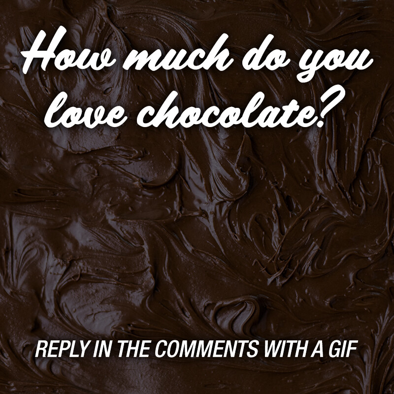 trifitjourney's tweet image. We all know how amazing Forever Lite Ultra Chocolate is 😋
But let&apos;s be real, we want much more chocolate in our lives! 
Post a gif in the comments to show just how much you love chocolate 😂 👇 
#Chocolate #ForeverLiving #Gif