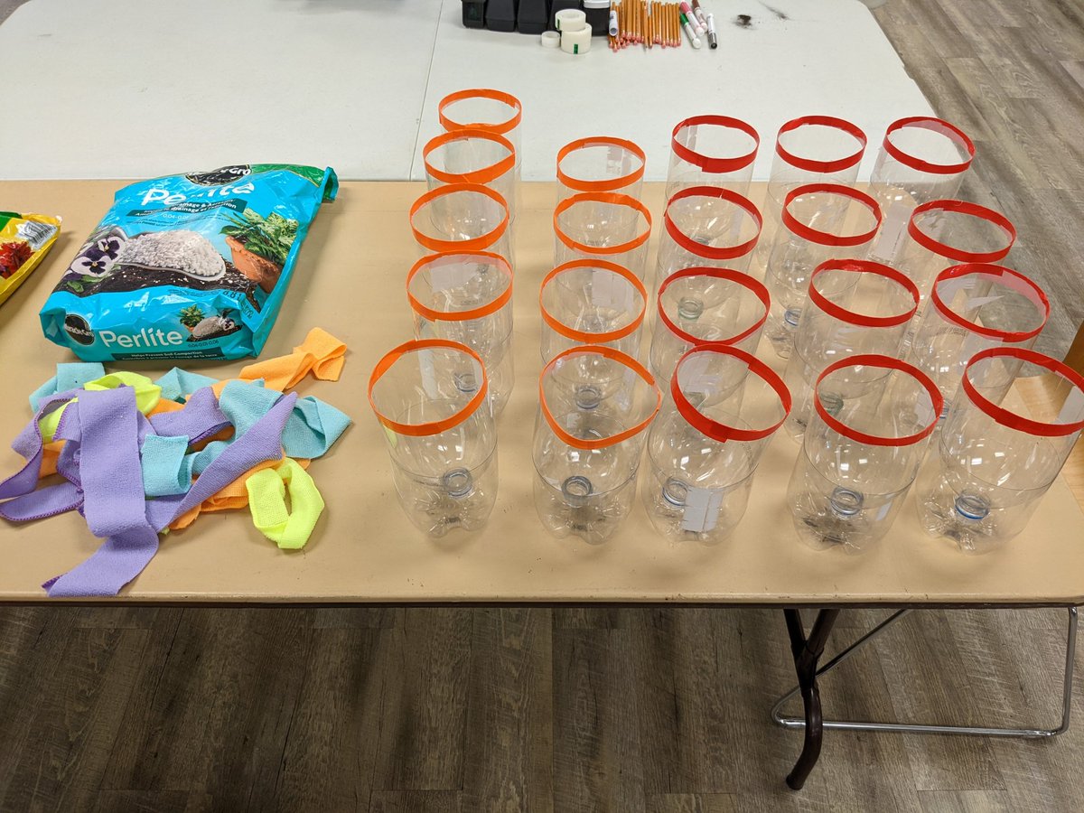 Kyle Kitchen (@thekylekitchen) on Twitter photo Day two of our <a href="/GrapeviewSchool/">Grapeview</a> second grade scientists to help increase native bee species. Recycling and upcycling to make bee hotels and hydroponic planters with native flowers to Niagara. #Steam #STEM #savethebees #makerspace <a href="/dsbn/">District School Board of Niagara</a> <a href="/DanArmyMakerSpc/">Dan Armstrong</a> Day two of our <a href="/GrapeviewSchool/">Grapeview</a> second grade scientists to help increase native bee species. Recycling and upcycling to make bee hotels and hydroponic planters with native flowers to Niagara. #Steam #STEM #savethebees #makerspace <a href="/dsbn/">District School Board of Niagara</a> <a href="/DanArmyMakerSpc/">Dan Armstrong</a>
