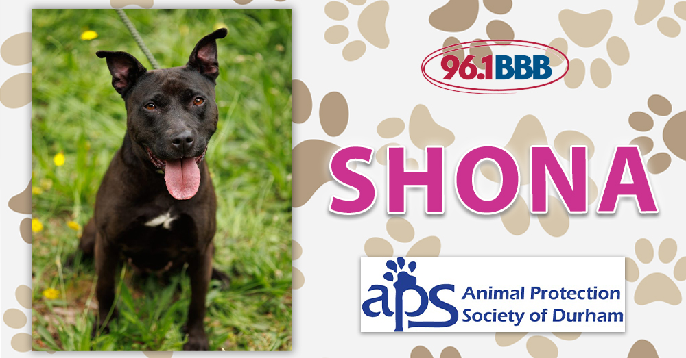 APS of Durham tweet media