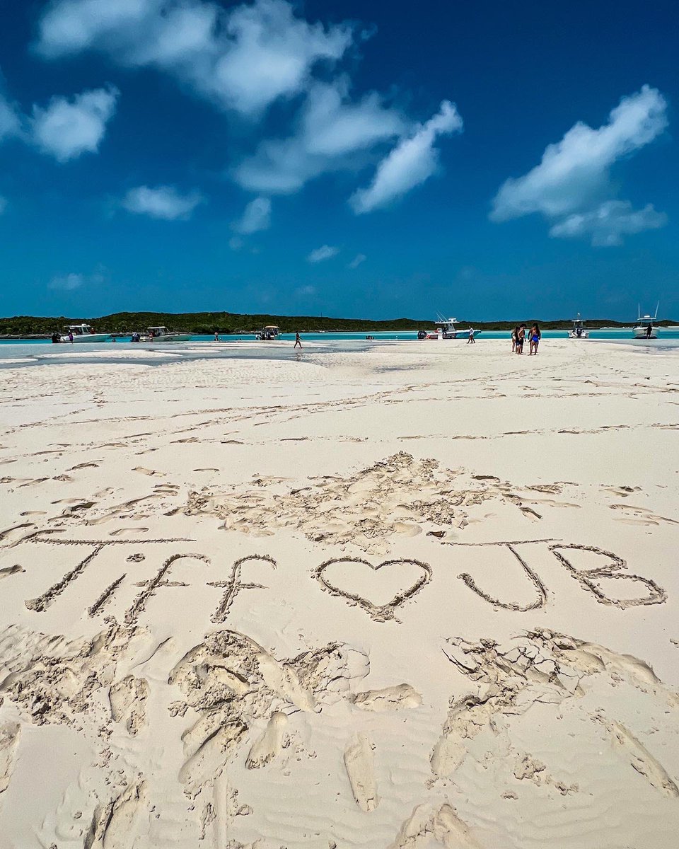 PapiCapo_'s tweet image. flew her to another island from the island 🏝