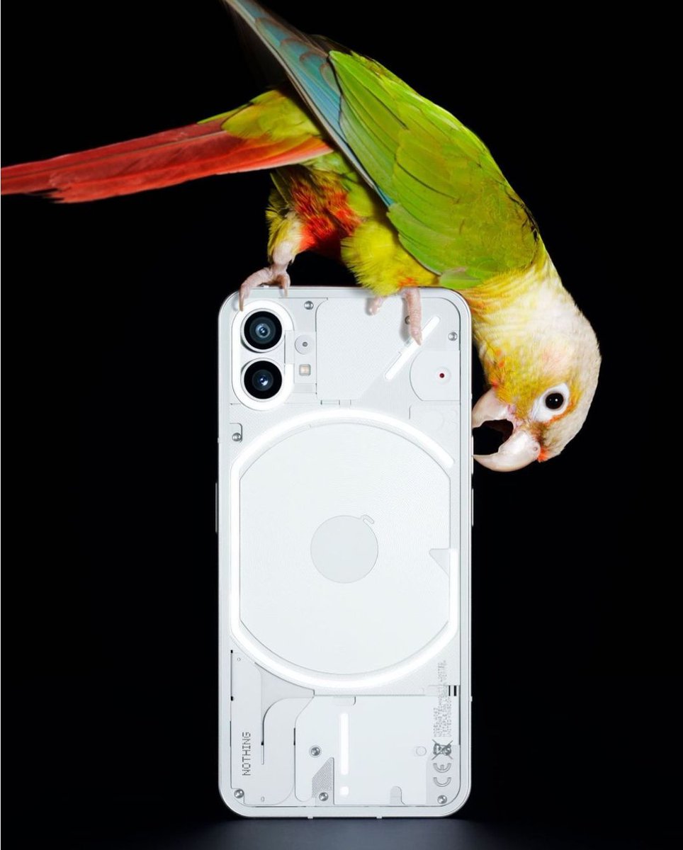Discovering! - Time tweet media