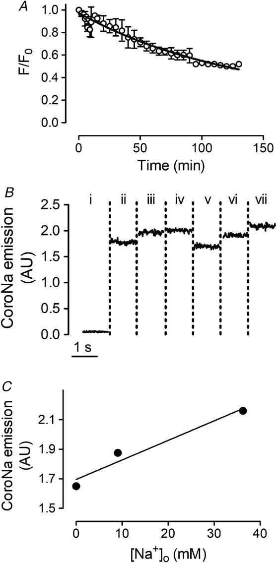 Developmental differences in myocardial transmembrane Na+ transport: implications for excitability and Na+ handling 👉 buff.ly/3Qeyi0U
