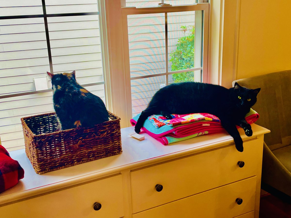 lawyerschiff's tweet photo. The #JusticeKitty Army is waiting for me to leave. They are tired of me yelling "Adding #correct at the end doesn't make it a question!!!" at the ADA in #Redlick.
Joining host @JulieCourtTV at 130PM and I am betting she agrees!
DO YOU? Tweet Us!
@CourtTVUK @CourtTV https://t.co/mqzP7sE6lp