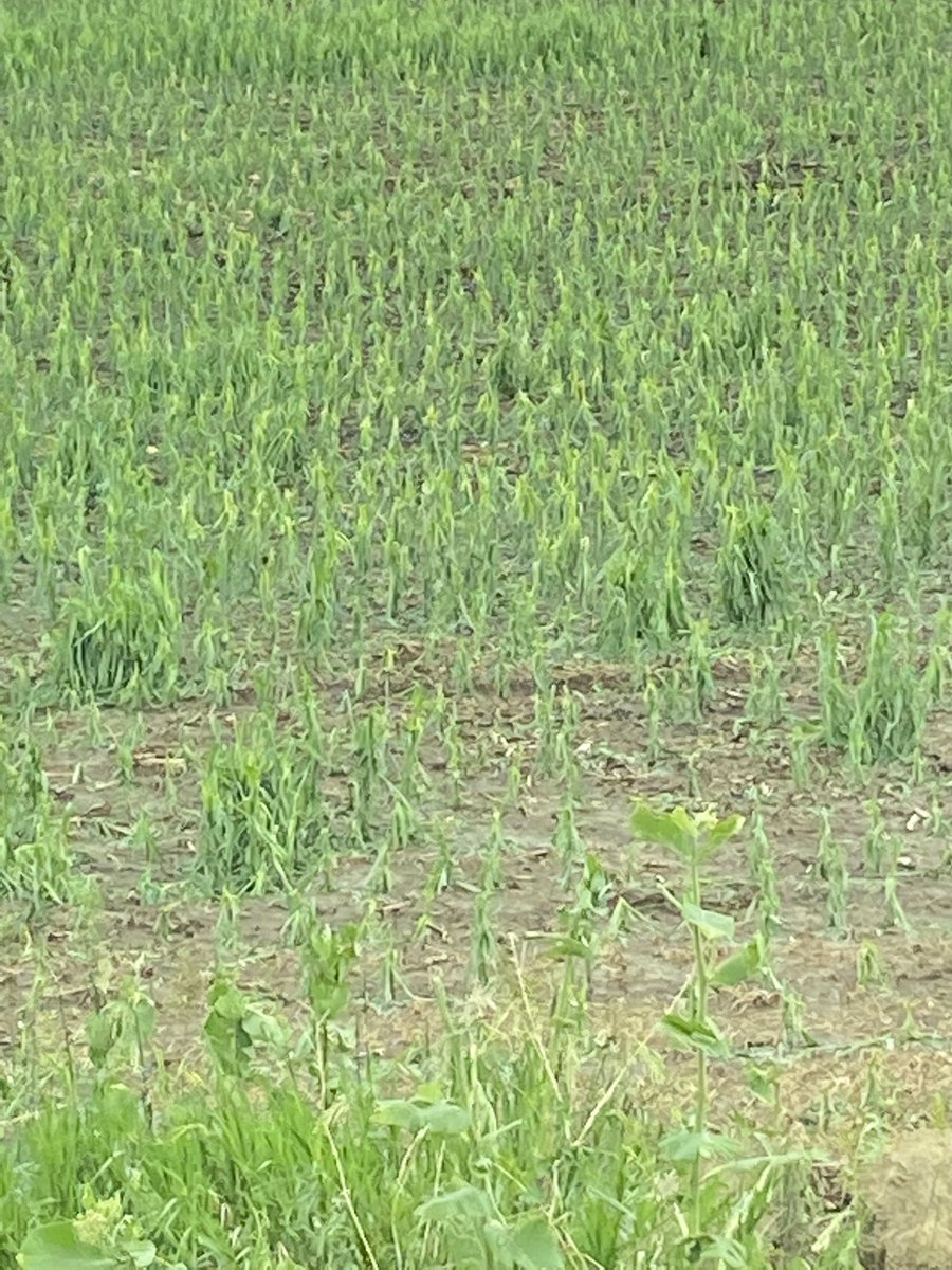 This is getting real old real quick Mother Nature…..