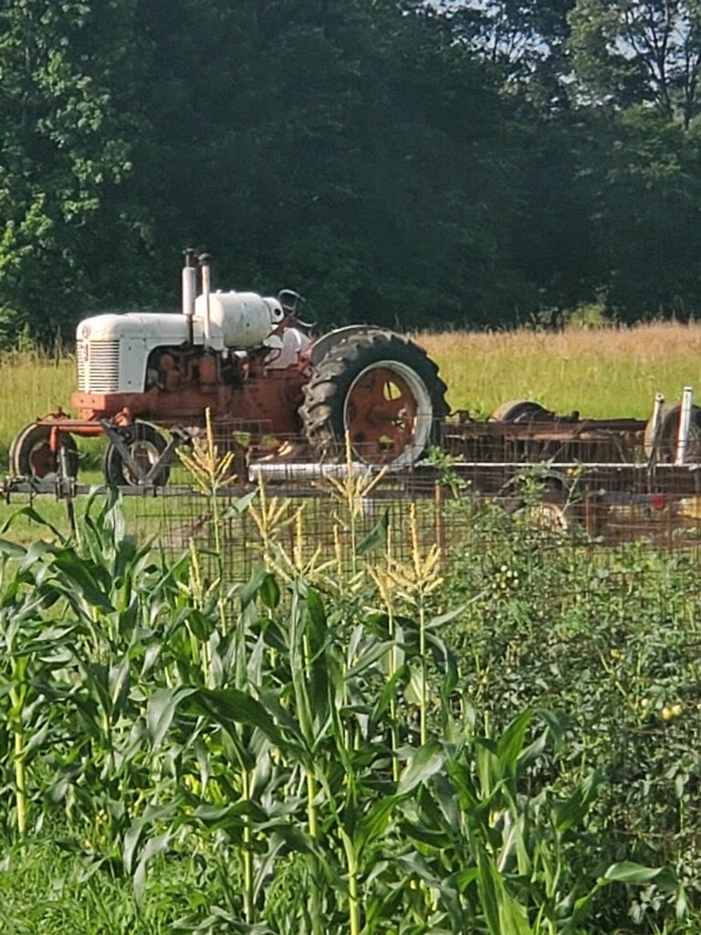 Phil Horton tweet media