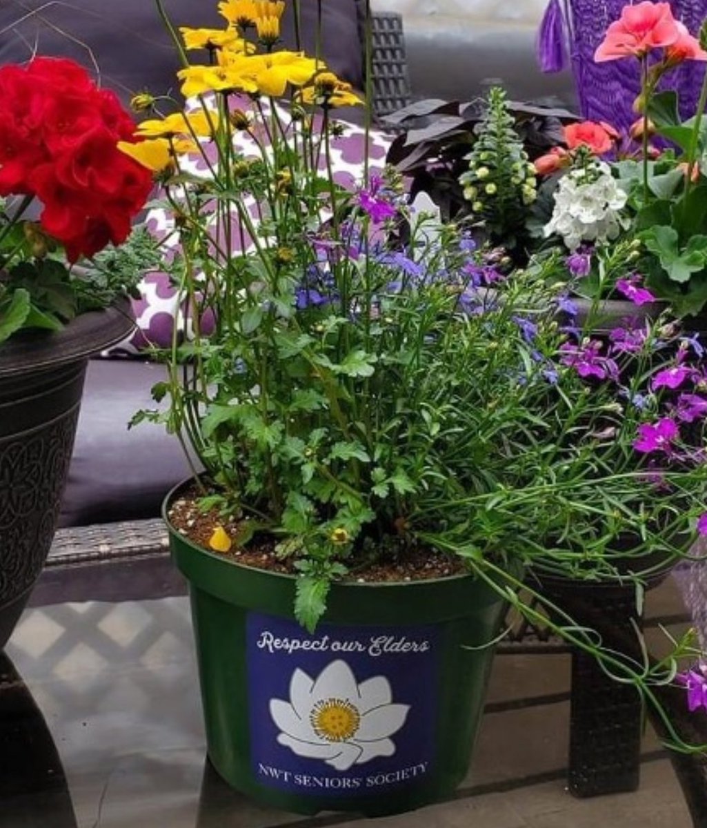 nwtrpa's tweet image. #WorldElderAbuseAwarenessDay is marked each year on June 15 to acknowledge the significance of elder abuse as a public health &amp;amp; human rights issue and raise the visibility of elder abuse.
Read more on our website: tinyurl.com/bdykpe7d
#SeniorsMonth #JRPM #NWT