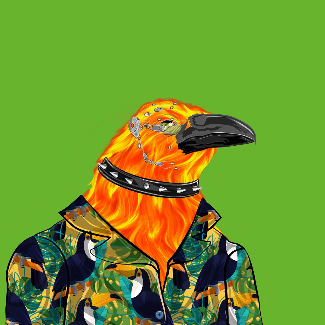 colournationnft's tweet photo. I think my Ravens have been breeding whilst I've been sleeping :D
#airdrop #ravenontheheaven https://t.co/XgWoa9X6Ka