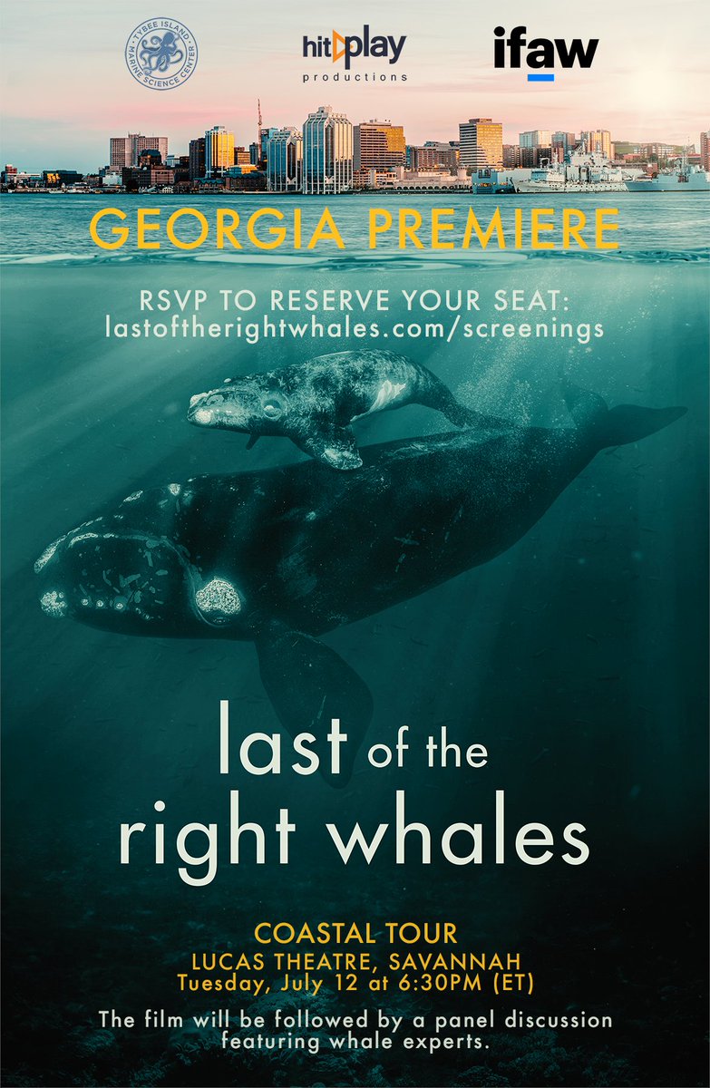 We are proud to co-host a special viewing of the Last of the Right Whales documentary film at the Lucas Theatre, July 12th! Don't miss this extraordinary film &amp; panel discussion featuring whale experts including our very own Cathy Sakas. More info here: bit.ly/3zVkbrJ