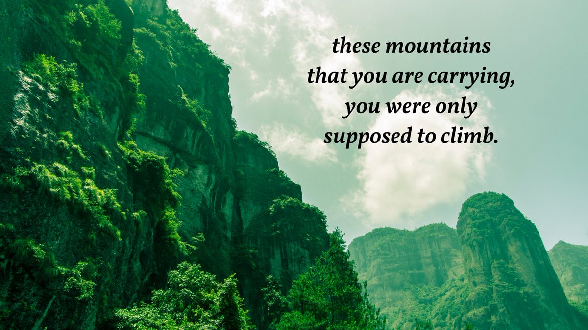 Happy #WisdomWednesday!