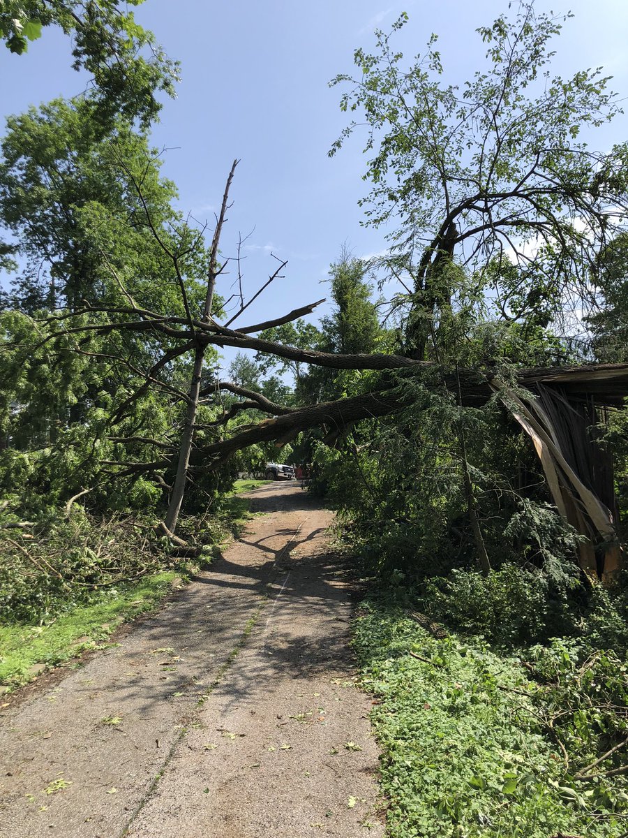 SchulzReports's tweet photo. Its only 88° in Wheeling, but the heat index is already up to 99°. Power is still out across the region, and residents are trying to clear out downed trees like this black walnut near Wheeling Park. https://t.co/8WShxoEIsG