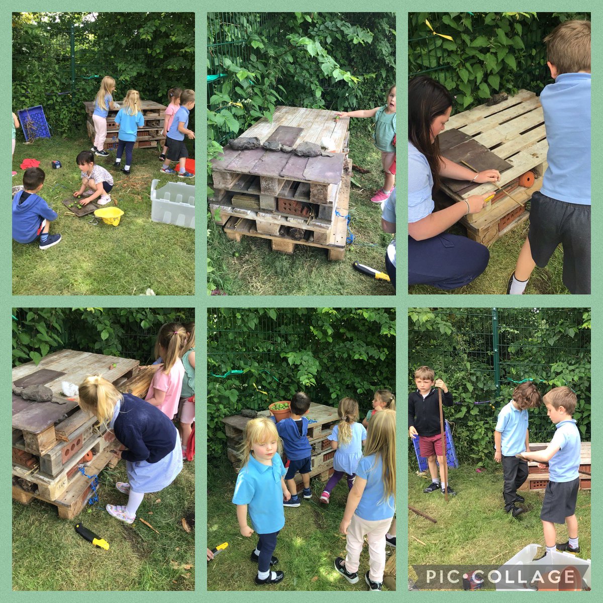 hook_dwrgi's tweet photo. With the help of @hook_dolffin we have made our very own Bug Hotel. We have been investigating microhabitats. @hook_primary @PembsOutdoorSch 
#FourPurposes https://t.co/bFtZPDndJw