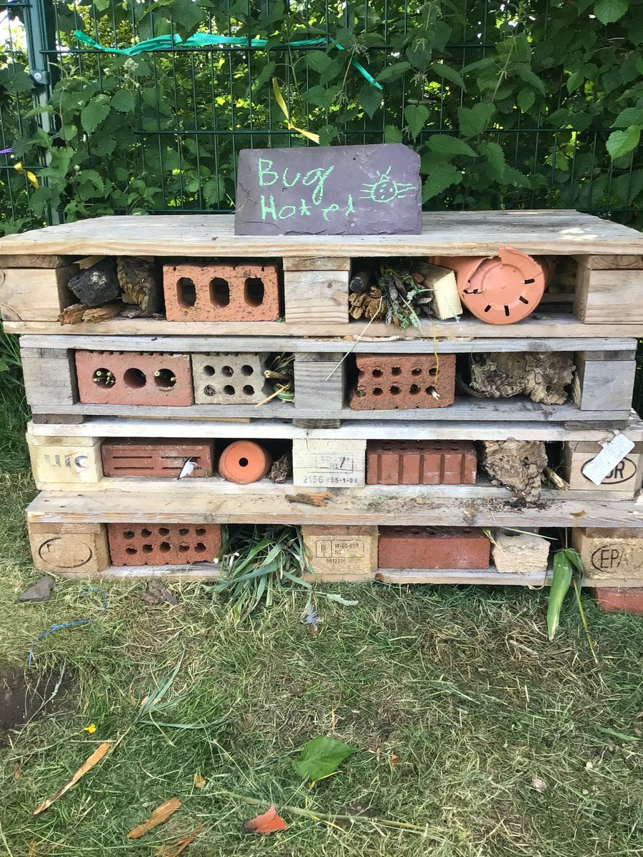 hook_dwrgi's tweet photo. With the help of @hook_dolffin we have made our very own Bug Hotel. We have been investigating microhabitats. @hook_primary @PembsOutdoorSch 
#FourPurposes https://t.co/bFtZPDndJw