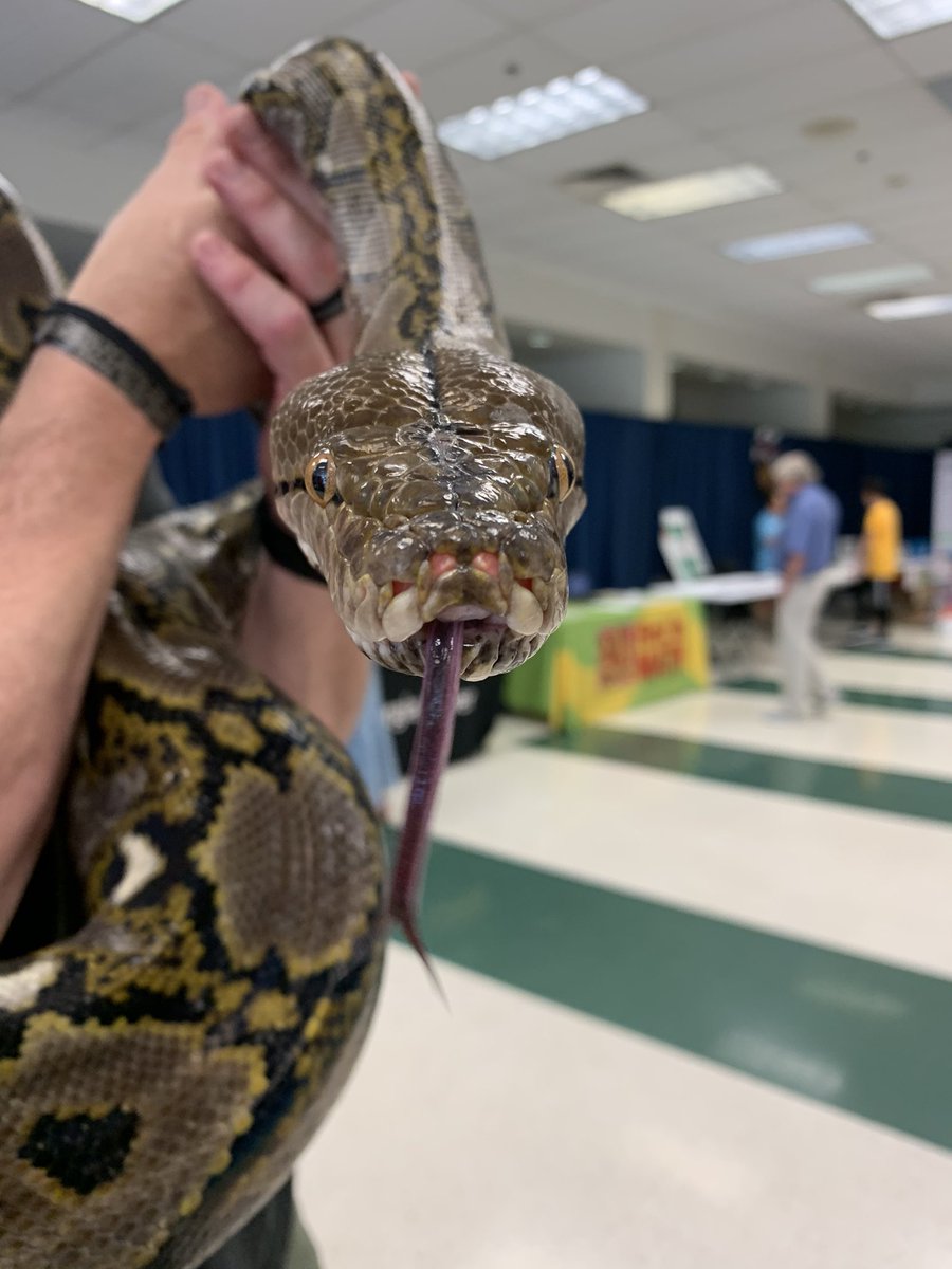 TrstemL's tweet photo. STEMAPALOOZA 2022! This one’s for you @DrMcGill1 I ❤️ snakes…
@kendallkeeslin1
#choosekind
#TREpta
#TRfoundation
@Cobbschools
@STEMCobb #STEMCobb https://t.co/Ct5TPddFkc