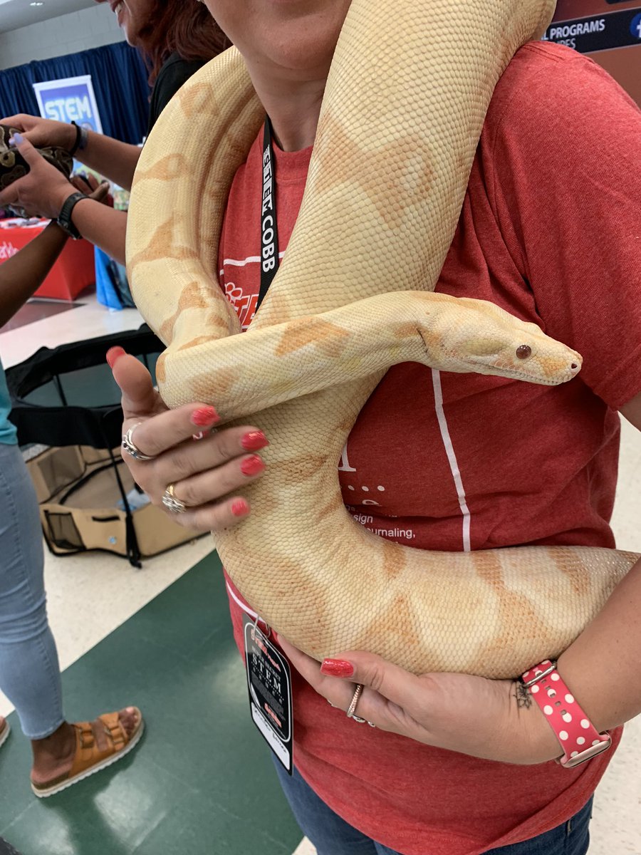 TrstemL's tweet photo. STEMAPALOOZA 2022! This one’s for you @DrMcGill1 I ❤️ snakes…
@kendallkeeslin1
#choosekind
#TREpta
#TRfoundation
@Cobbschools
@STEMCobb #STEMCobb https://t.co/Ct5TPddFkc
