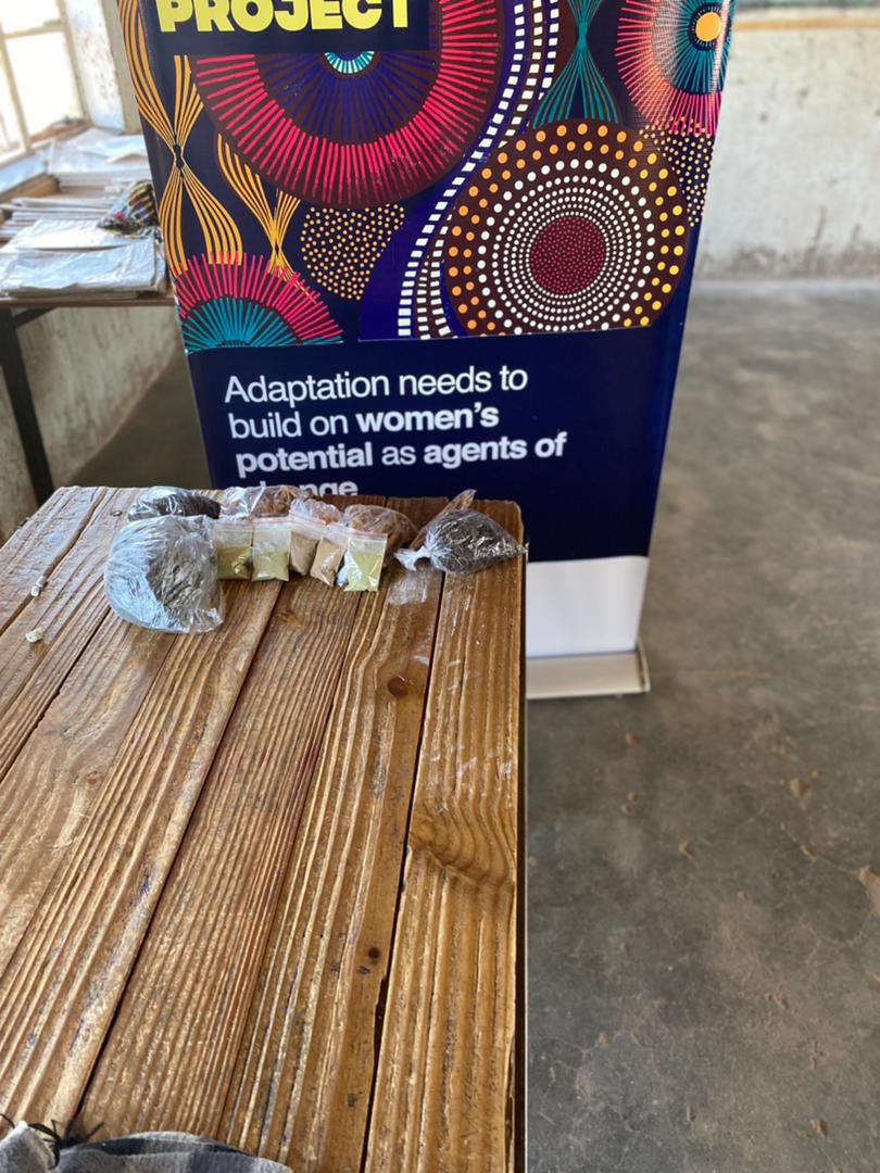greengovzw1's tweet photo. One of the women already doing value addition fruit drying vegetable and herb drying from the previous skills training under the @NLinZimbabwe supported #FEMADAPT project https://t.co/Pjyw2KzOvy
