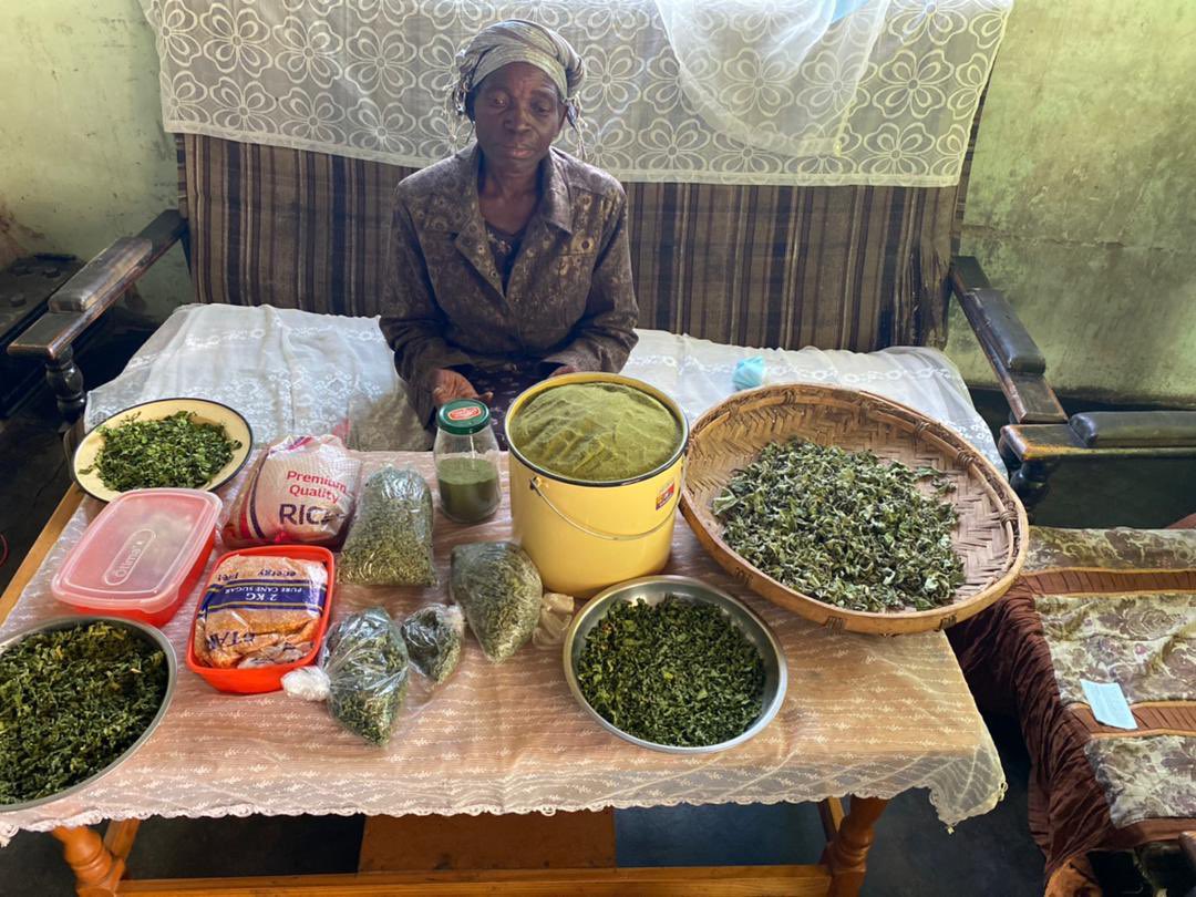 greengovzw1's tweet photo. One of the women already doing value addition fruit drying vegetable and herb drying from the previous skills training under the @NLinZimbabwe supported #FEMADAPT project https://t.co/Pjyw2KzOvy