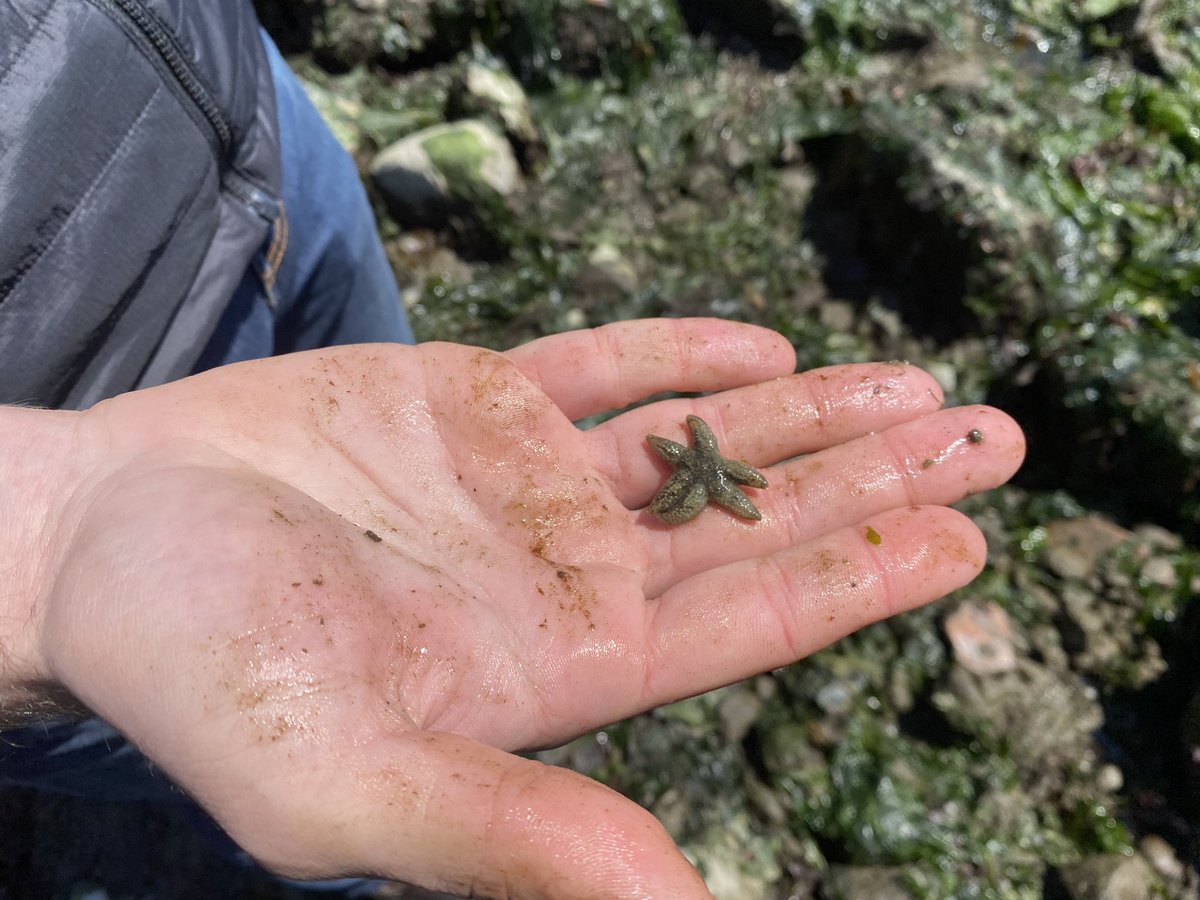 Amani Webber-Schultz tweet media