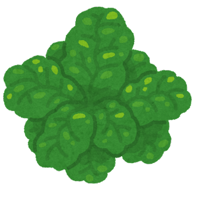 ちぢみほうれん草のtwitterイラスト検索結果