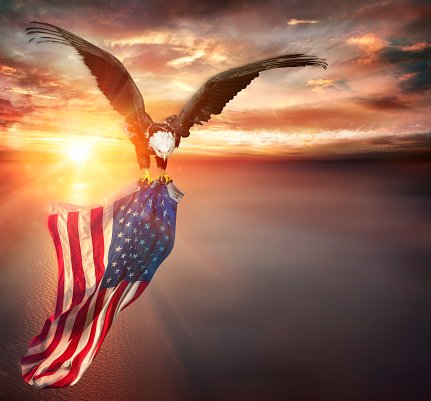 sw2008hd's tweet photo. I, and I believe I can speak for all my Patriot brothers &amp; sisters, want to Thank ALL the courageous Patriots with fighting spirits who stood up for FREEDOM, and made that decision to run AGAINST the EVIL destroying our Great country! We won't let America down! VOTE IN PERSON! https://t.co/kqwNMQxrMv
