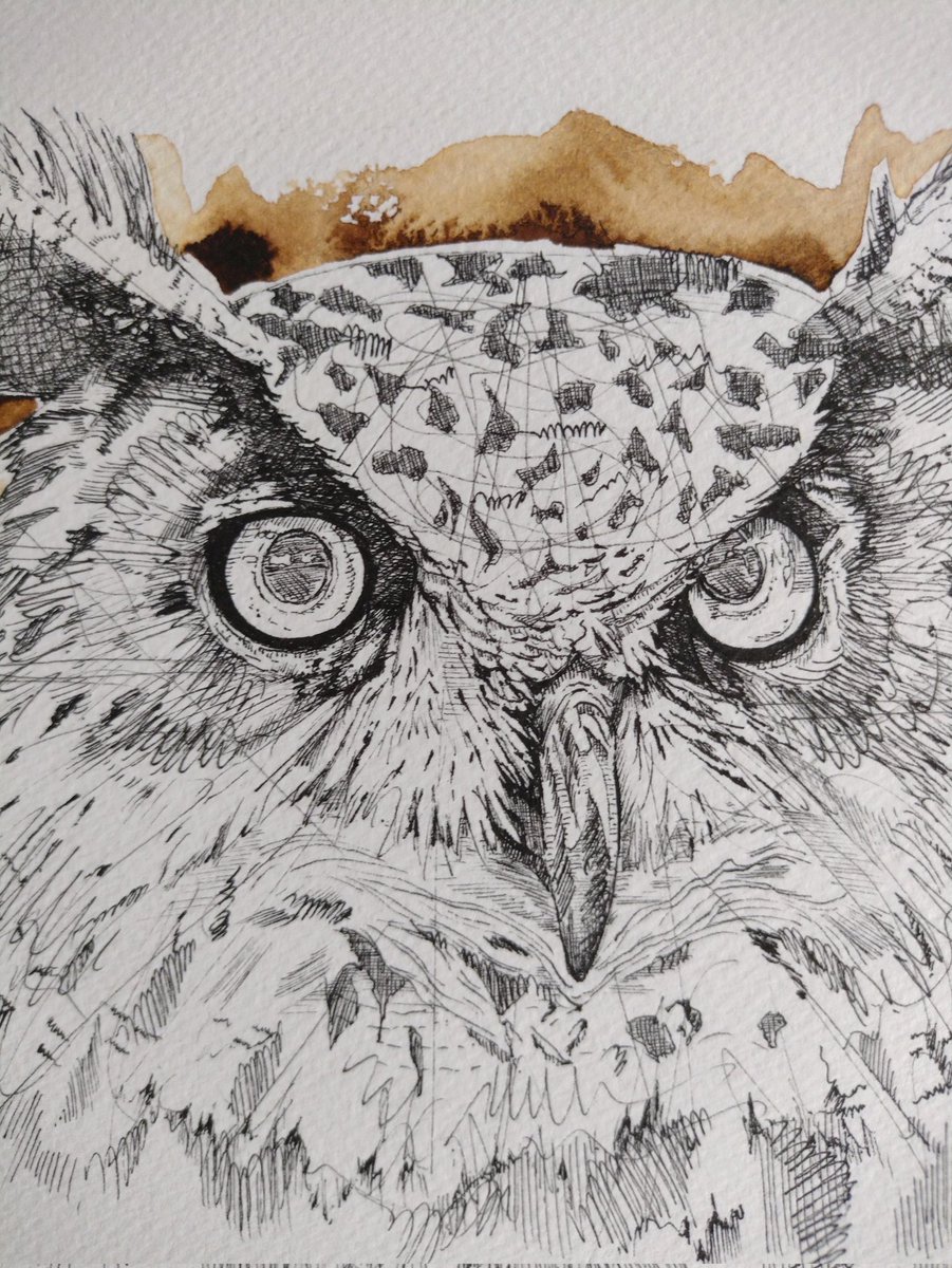 The other Owl I'm working on. Lots of marks in pen. #art #artist #owl #owls #bird #birds #pen #ink #penonpaper @BirdWhisperers @CansonPaper @DalerRowney @PentelUK #stcmill