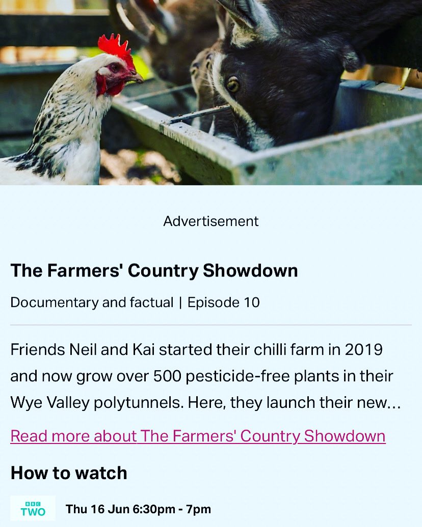 ChilliRogues's tweet photo. Us again 👀 If you missed our TV appearance back in January we are on BBC 2 tomorrow evening at 6.30pm!

Signed photos available for order on our website 😉

#chilliroguesarecomin #chillis #wyevalley #gloucestershire #chepstow #monmouthshire #studs https://t.co/GwGlcAOogi