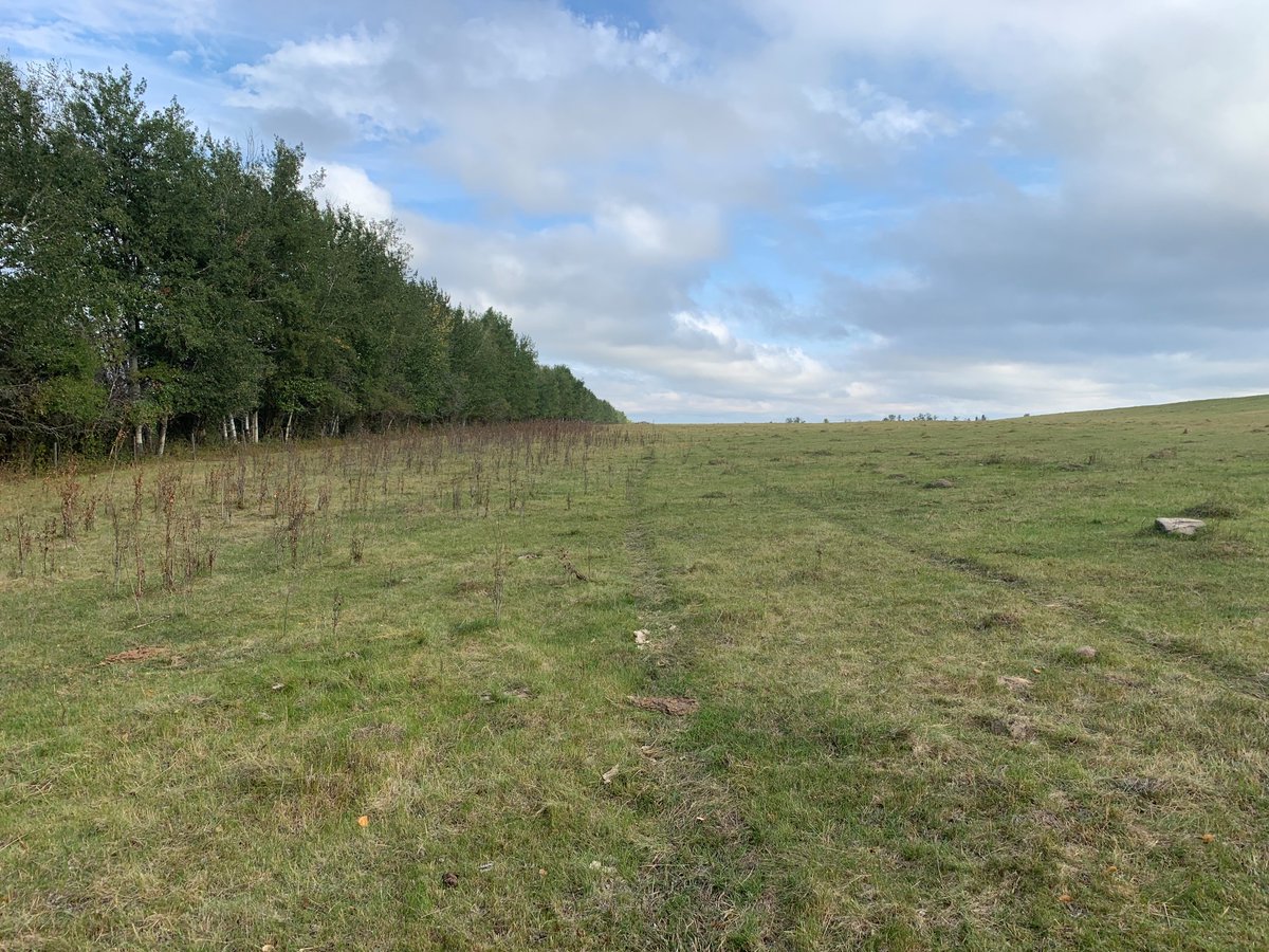 EnvuPastureCA's tweet photo. Stop encroachment on your pasture and keep your fence lines clean with #TruRange on tree saplings! #rangeandpasture https://t.co/D76bYHHyMm