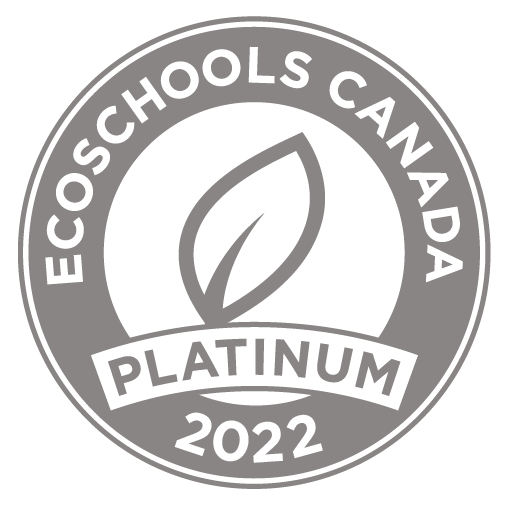 EcoTeam tweet media