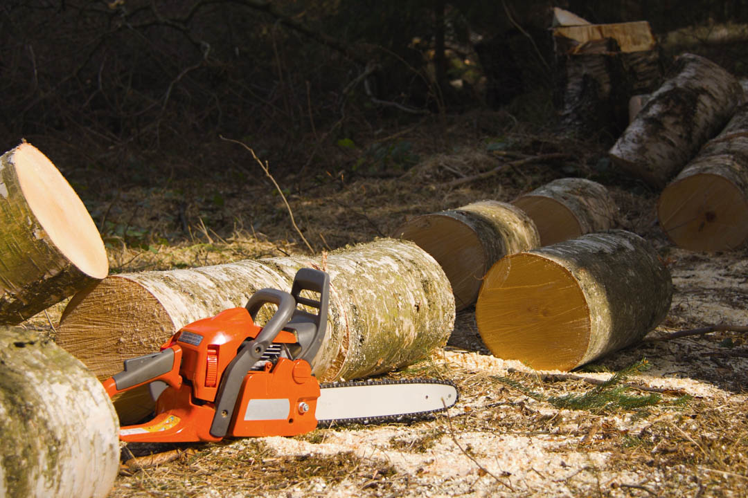 GoodviewTree's tweet photo. Follow and like us across all of our social media platforms: Facebook, Twitter, Youtube, Instagram, and Pinterest to keep up to date with Goodview Tree Service! #NorthHillsCA https://t.co/uJuxemAyJm https://t.co/igxrdwJoIz