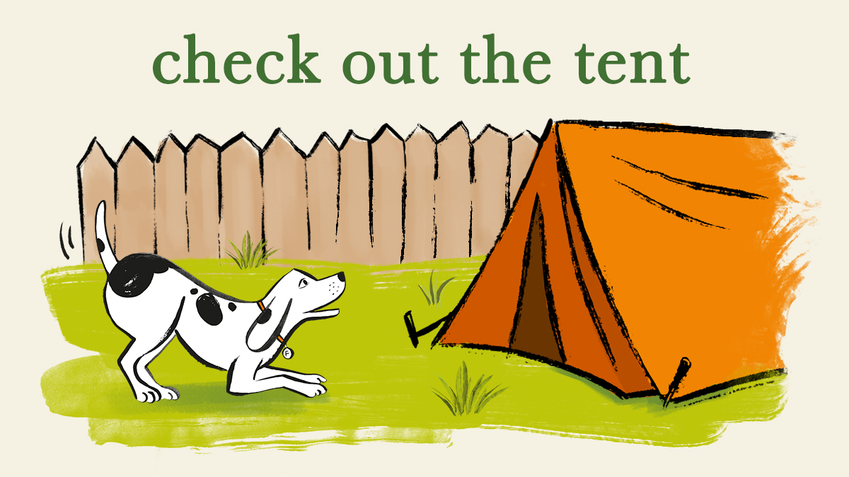 Forthglade's tweet image. If you've been inspired to take your dog camping but are a little unsure what they'll make of the tent, we'd recommend pitching it in your garden with some tasty treats on hand as a reward for exploring it 🏕️

Check out more adventures here - 

#AdventureTails #Forthglade