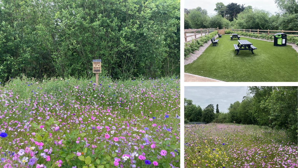 Continuing our commitment to implementing sustainability initiatives across all of our assets, we are happy to announce that the wildflowers sown late last year at Thurles Shopping Centre are now in full bloom.   

#sustainability #ESG #climatechange #renewableenergy