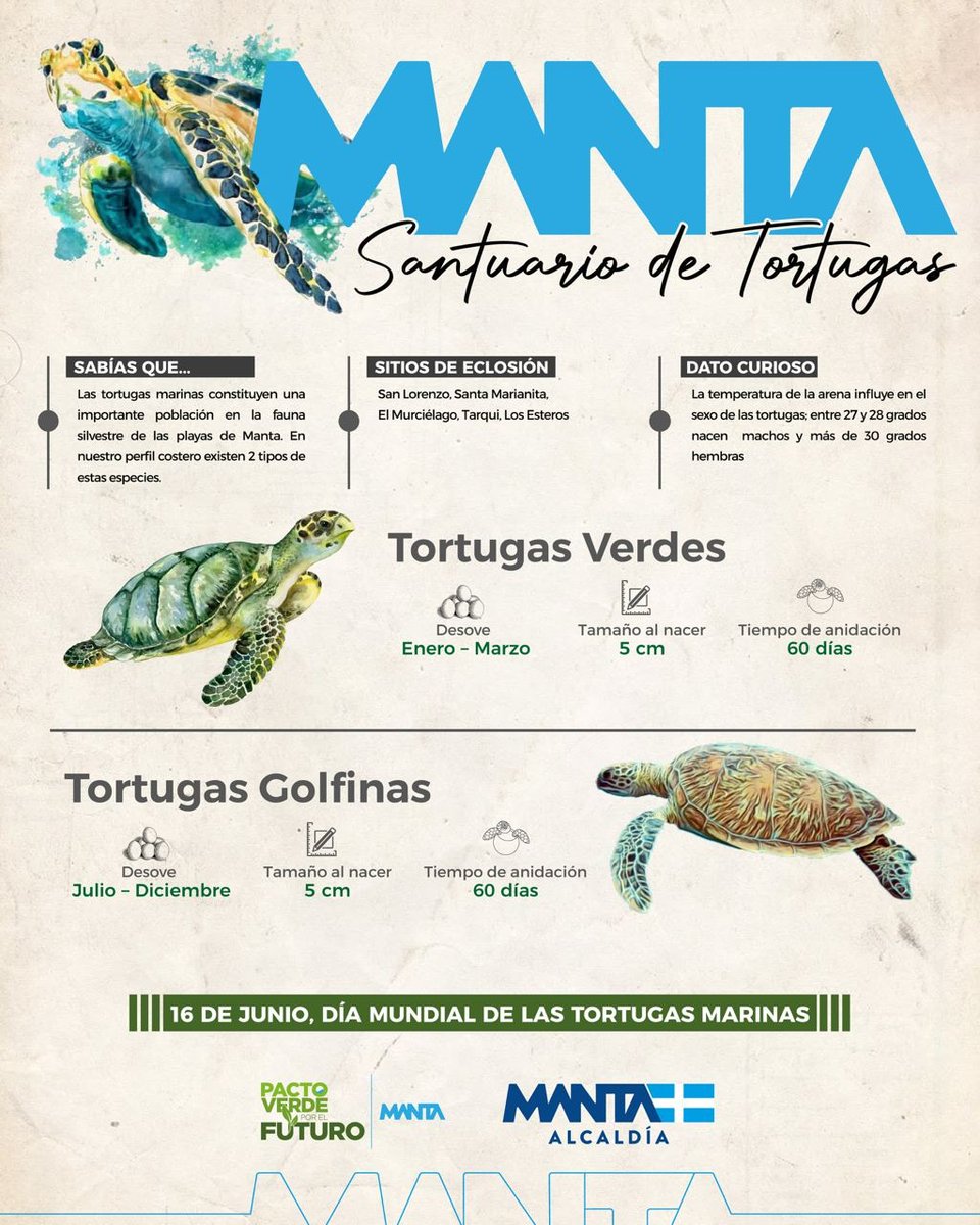 PactoVerdeEC's tweet photo. Somos el hogar de una amplia flora y fauna.
 
Hoy, se celebra el Día Mundial de Las Tortugas Marinas, y en nuestras playas estamos en plena temporada de desove y animación de estas especies.

Conoce varios datos curiosos sobre este proceso.

#Tortugas #DíaDeLasTortugasMarinas https://t.co/TvMjJHrtHy