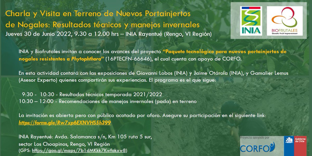 Todos invitados a la Charla y Visita en Terreno de Nuevos Portainjertos de Nogales: Resultados técnicos y manejos invernales, para participar registrate aquí 👇
forms.gle/Rw7xp6EXNVHS5h…
<a href="/INIARayentue/">INIA Rayentué</a> <a href="/iniachile/">INIA Chile</a> <a href="/INIA_LaCruz/">INIA La Cruz</a> <a href="/INIA_Intihuasi/">INIA Intihuasi</a> <a href="/biofrutales/">Biofrutales</a> <a href="/randreszurita/">🌳 Andrés Zurita 🌳</a> <a href="/Corfo/">Corfo</a>