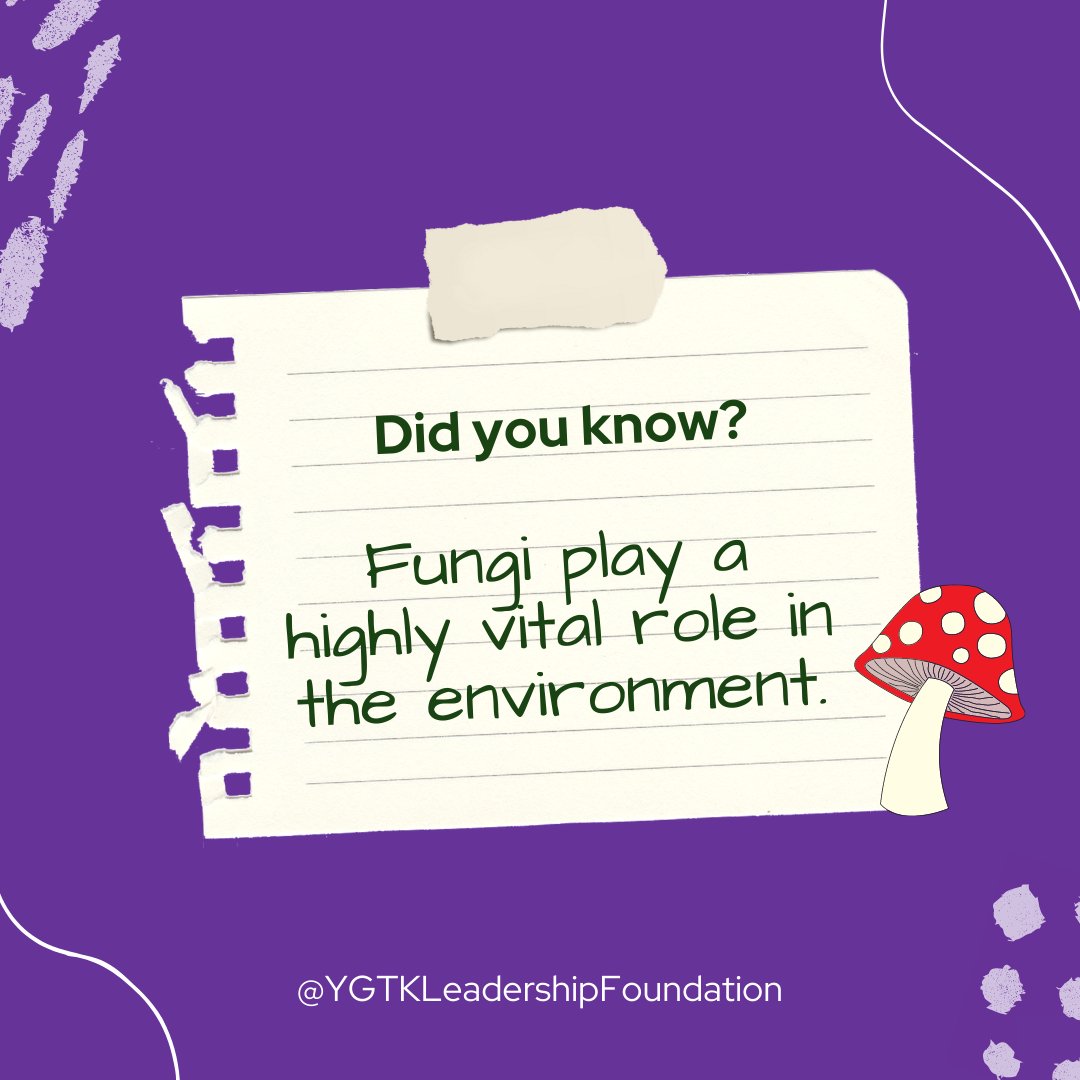 You Got This Kid Leadership Foundation tweet media