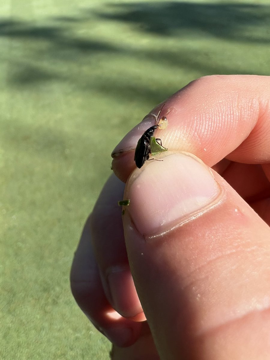 Thanks for the help little guy