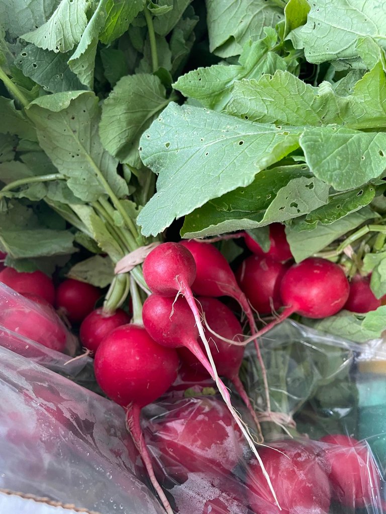 TheLocalCFC's tweet photo. Coming soon to the St Marys Nourish Equal Access Market tomorrow afternoon from 2pm - 4pm at the United Church and to our own Community Access Market on Friday from 11am - 1pm at The Local: so many strawberries! Also, free organic greens from The New Farm!

#CommunityMarkets https://t.co/TjsQk292eM