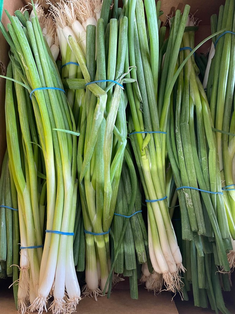 TheLocalCFC's tweet photo. Coming soon to the St Marys Nourish Equal Access Market tomorrow afternoon from 2pm - 4pm at the United Church and to our own Community Access Market on Friday from 11am - 1pm at The Local: so many strawberries! Also, free organic greens from The New Farm!

#CommunityMarkets https://t.co/TjsQk292eM