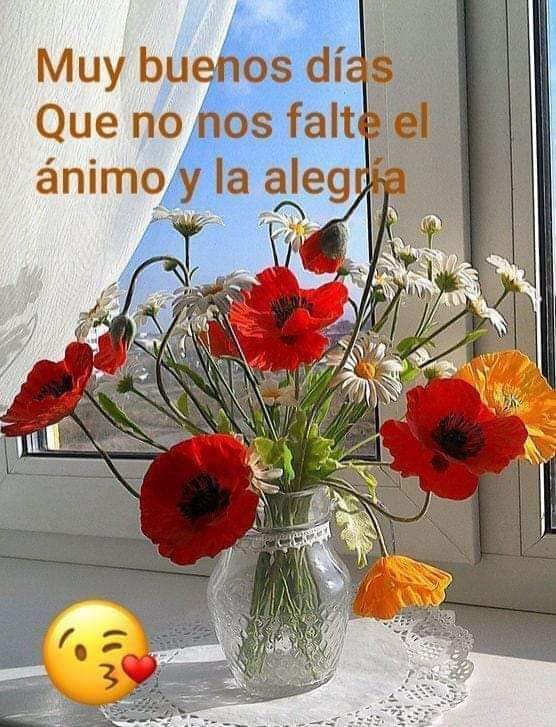 Lurdes Lopez (@lurdesl97496521) on Twitter photo 