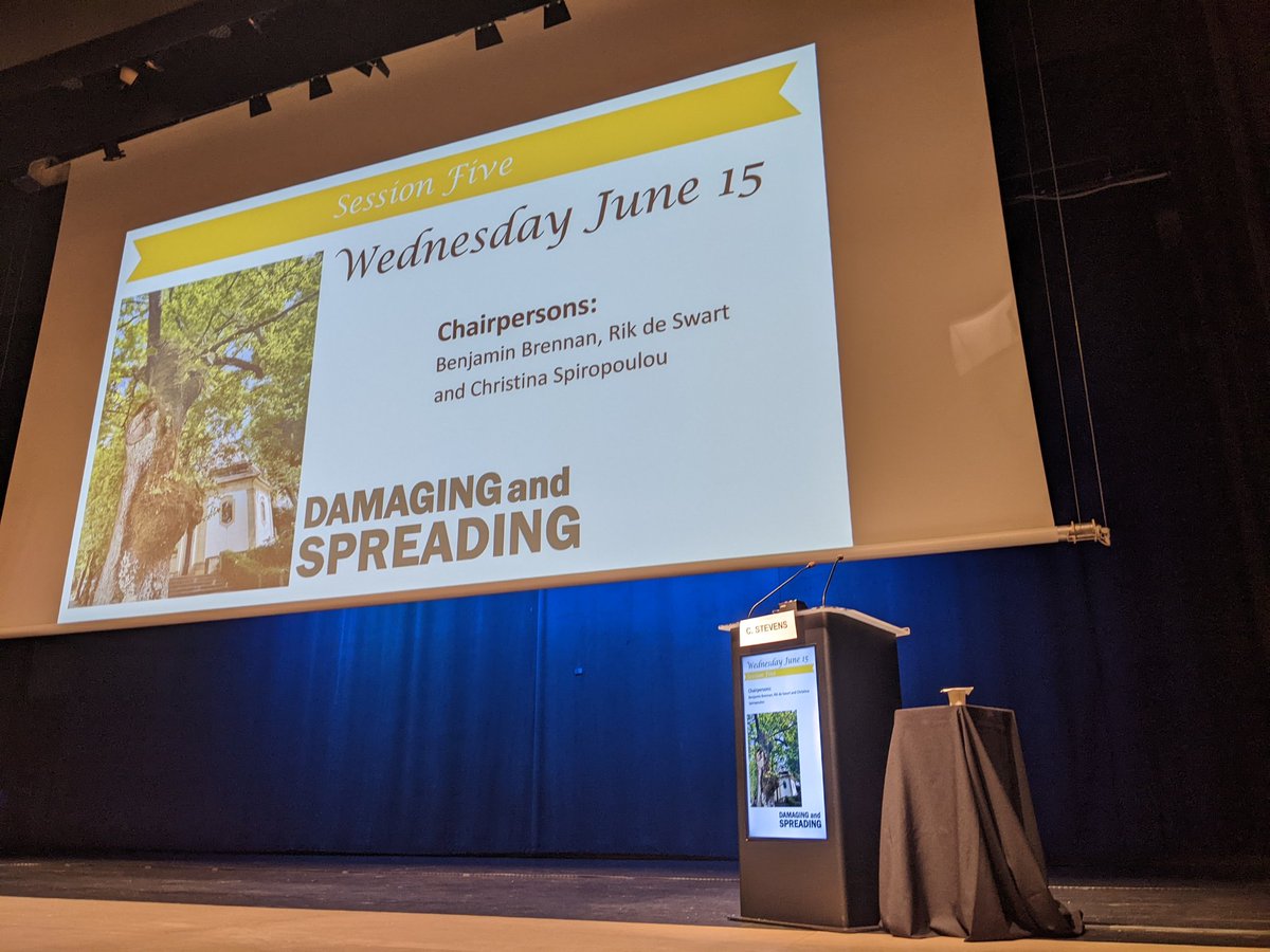 VIris__'s tweet photo. Ready to present my thesis work at 5:30 PM today! #NSV2022 https://t.co/aAdLEwK3QX