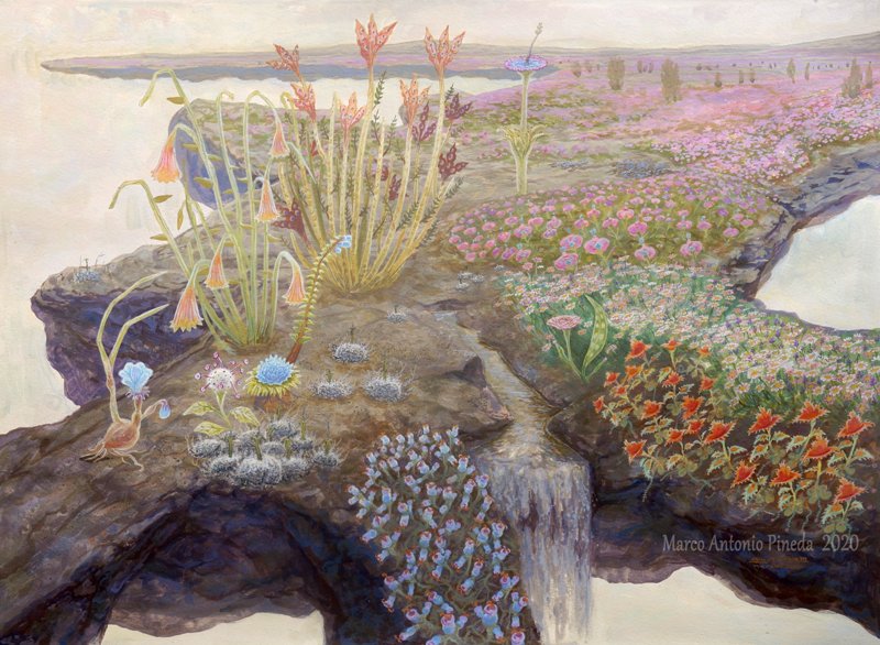 bioimagenmap's tweet photo. Ensayo de Flora Onírica participa en la 23 Exposición Internacional Trienal de Milán.
En 2020 tuve la oportunidad de colaborar en el proyecto que dirige Daniel Godínez Nivón. 

https://t.co/l3KFqEIvWo
https://t.co/jqUO2V3uC7
"Flora onírica". 2020
Marco Antonio #Pineda. https://t.co/Y9g262lht2