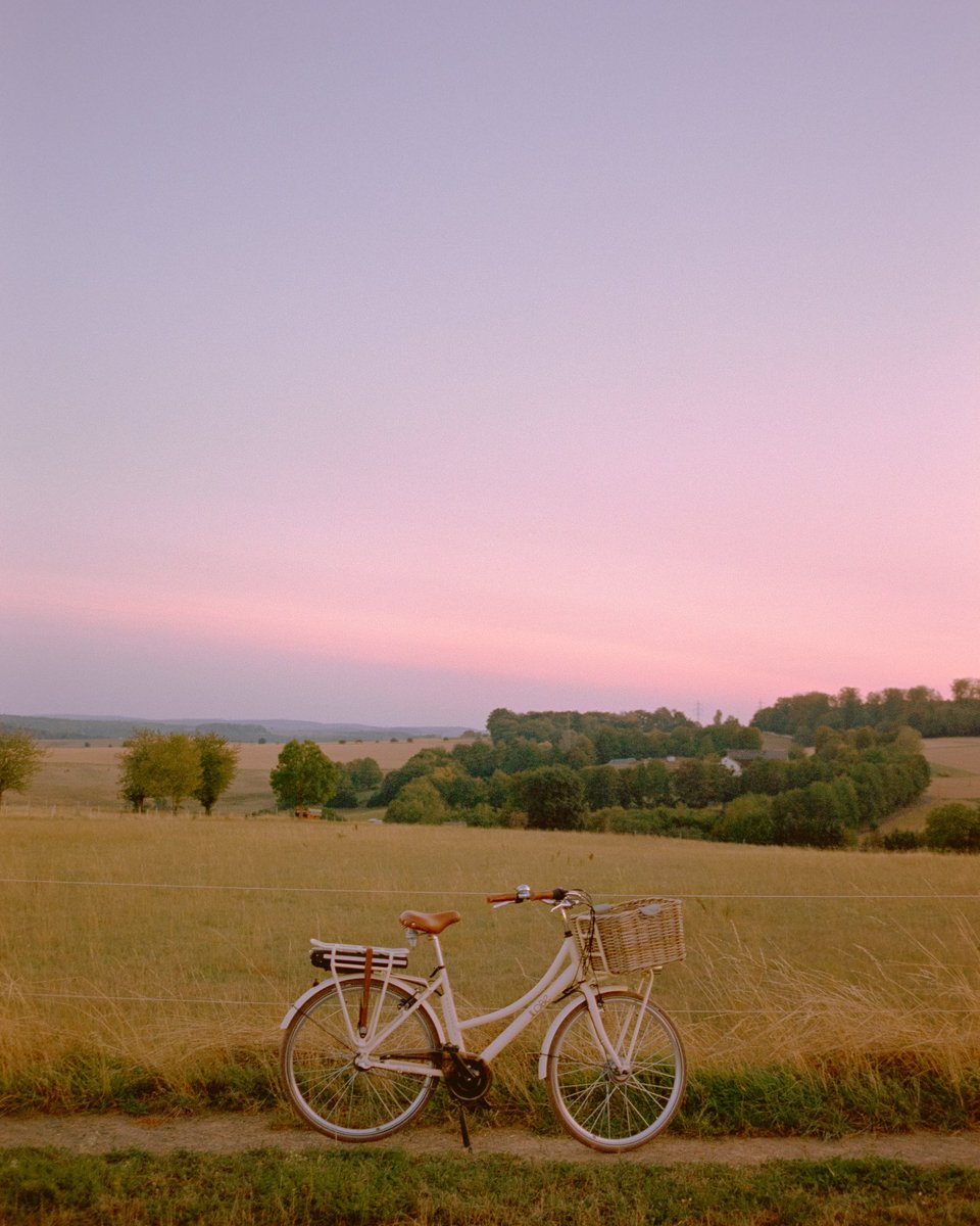 Raoul Pascal tweet media