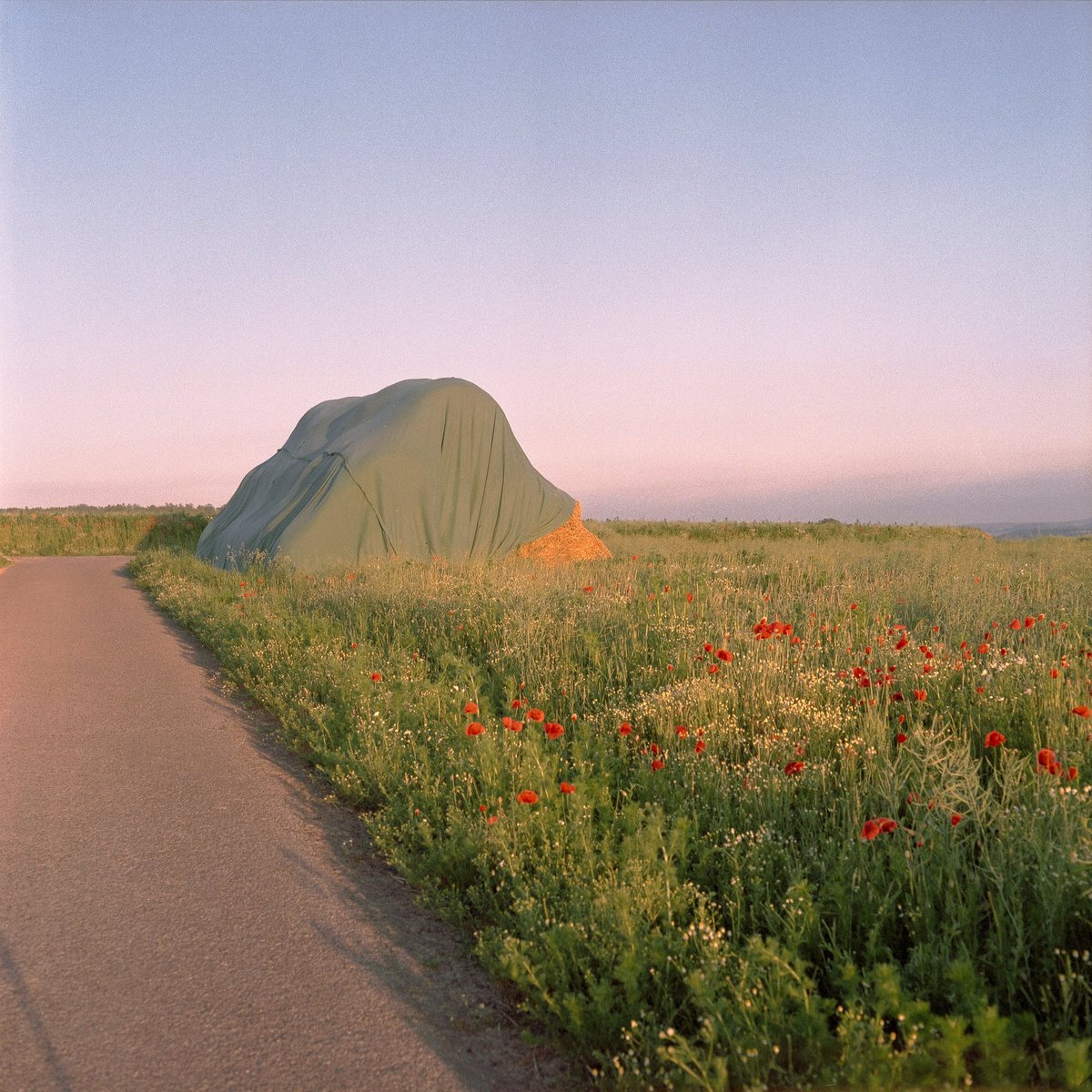 Raoul Pascal tweet media