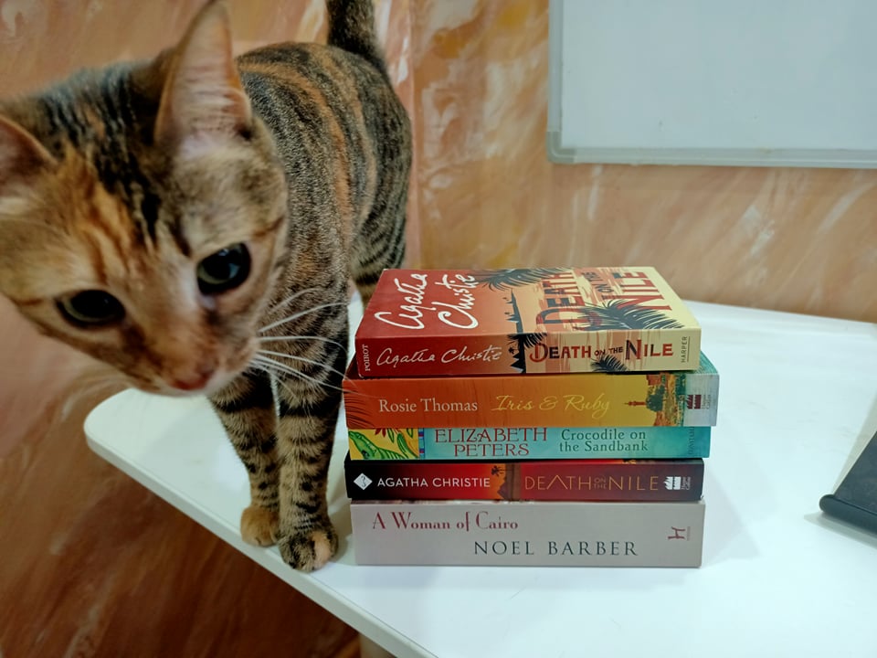 literarytourseg's tweet photo. Meet Lola, an expert on Egypt, books, and mice. She works with her human personally to research and creates all of our tours. #egypt #cruise #egyptiancats  #catsoftwitter #booksofintwitter #independenttourcompany #egyptholidays https://t.co/lbfcCCVD0O