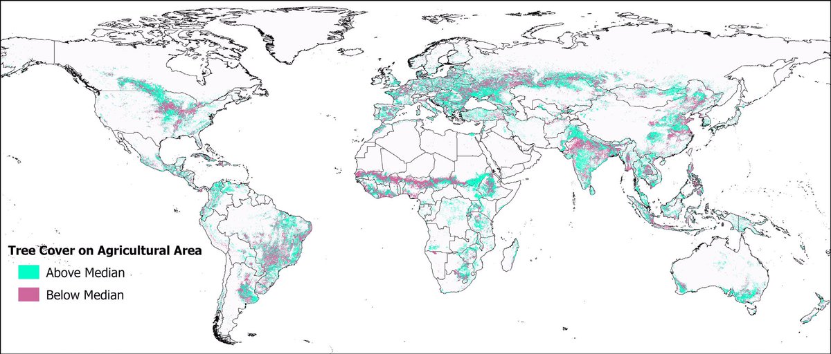 "Substantial" #climatechange mitigation potential of #agroforestry:

New study by Zomer et al: "Increasing global tree cover on ag land by 10% would sequester more than 18 PgC. 

S. America has highest potential followed by SE Asia, W. Central Africa...”
maxapress.com/article/doi/10…
