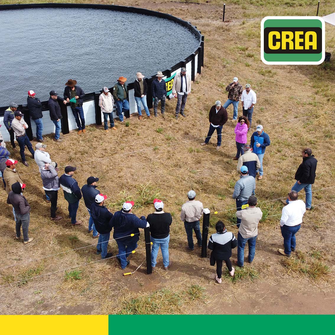 CREA Bolivia tweet media