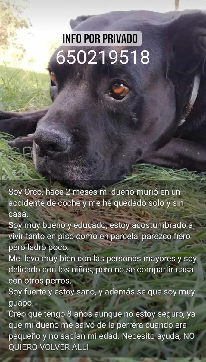 partidocracia1 tweet media