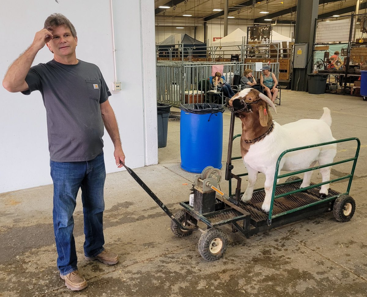 GILivestock tweet media