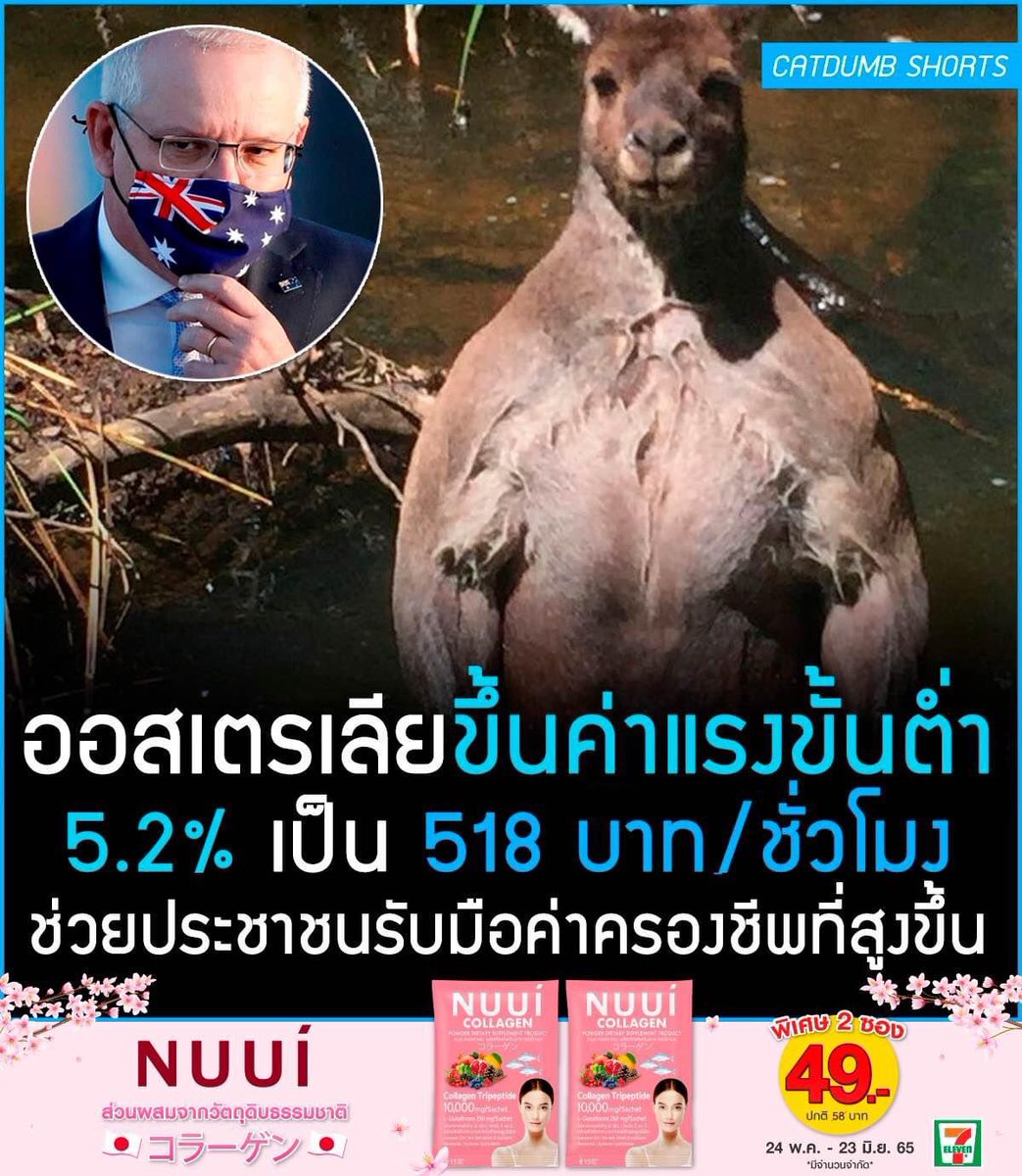 รอยัลลิสต์มาร์เก็ตเพลส-ตลาดหลวง tweet media